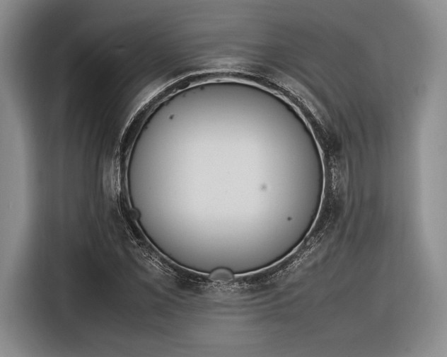 X0000116271069200912071038