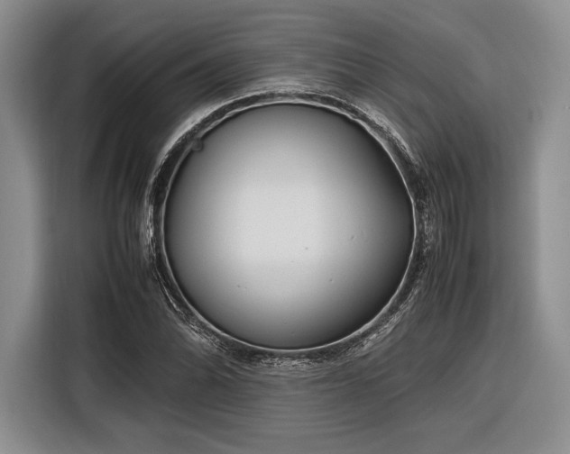 X0000116271070200912071038