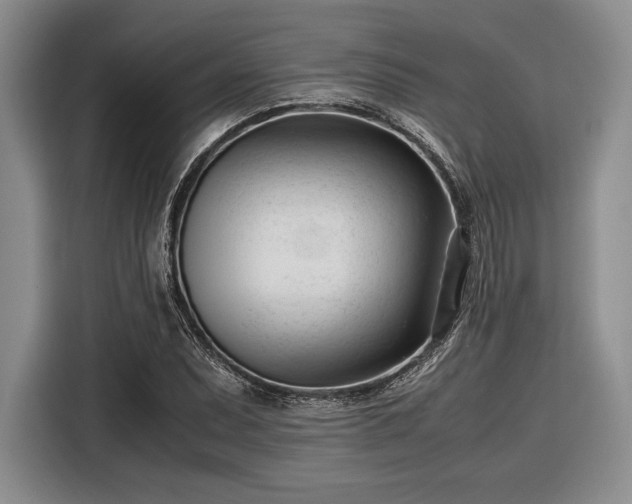 X0000116271071200912071038