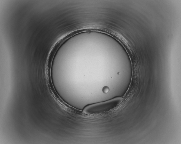 X0000116271072200912071038