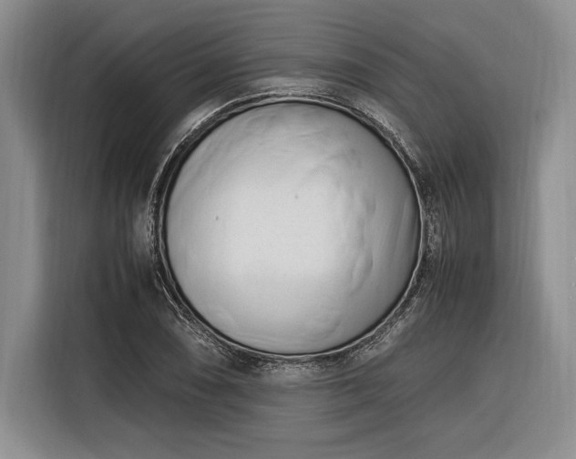 X0000116271074200912071038
