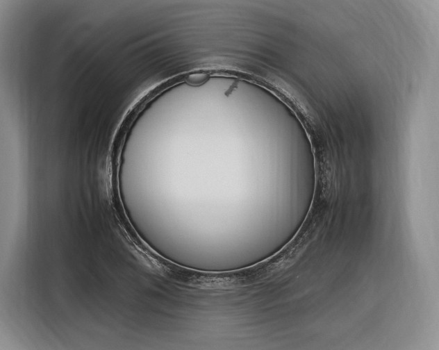 X0000116271076200912071038