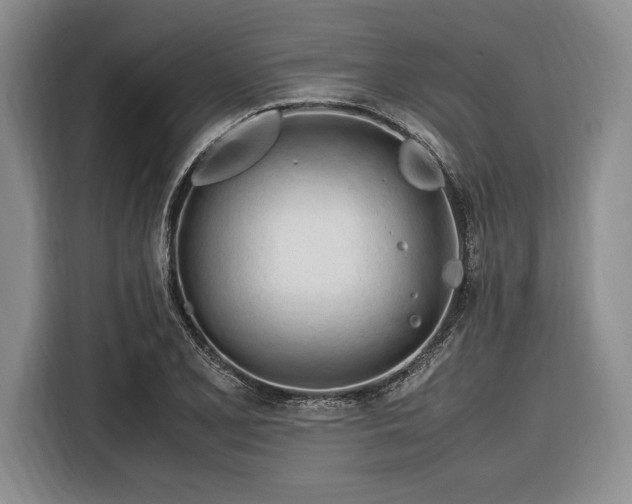 X0000116271077200912071038