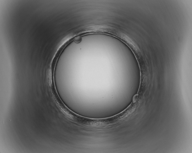 X0000116271079200912071037