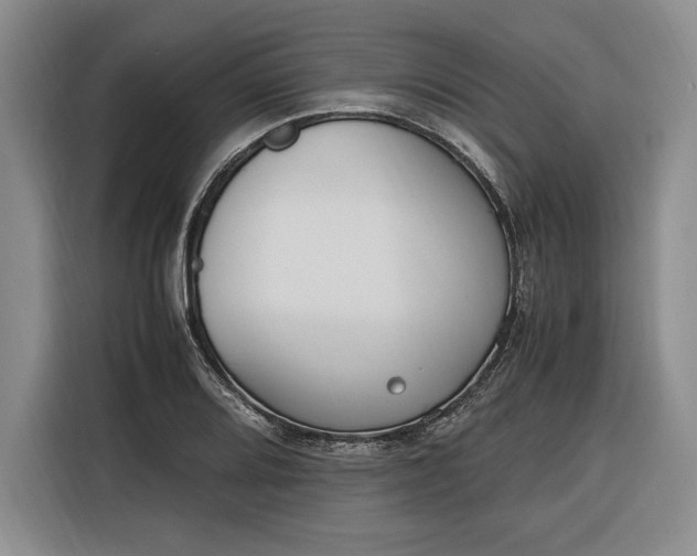 X0000116271080200912071037