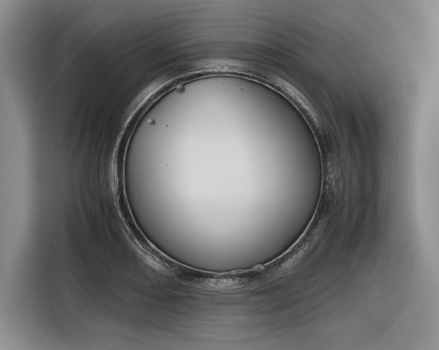 X0000116271082200912071037