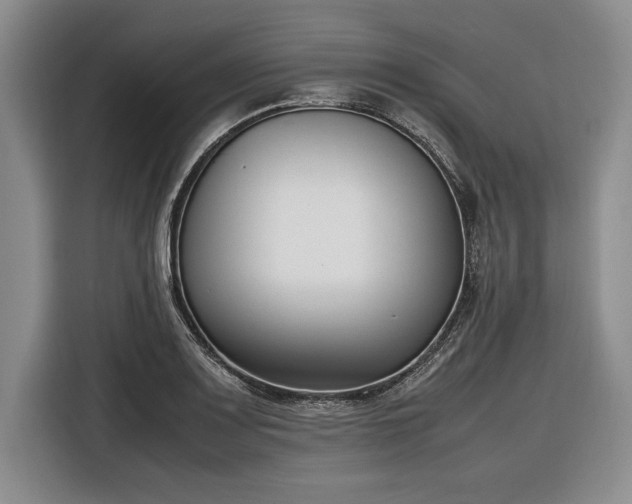 X0000116271083200912071037