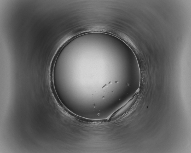 X0000116271087200912071037