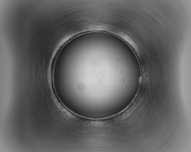 X0000116271088200912071037