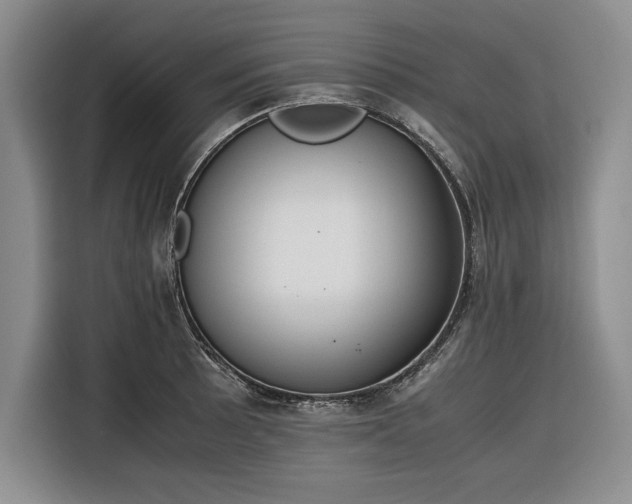 X0000116271089200912071037