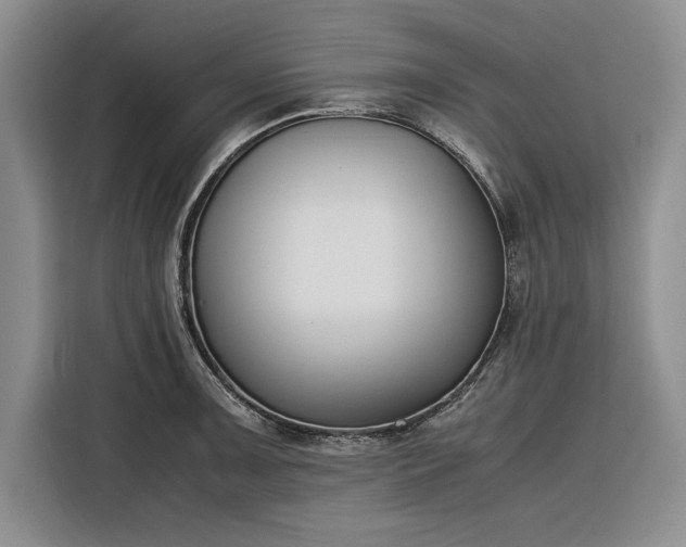 X0000116271091200912071037
