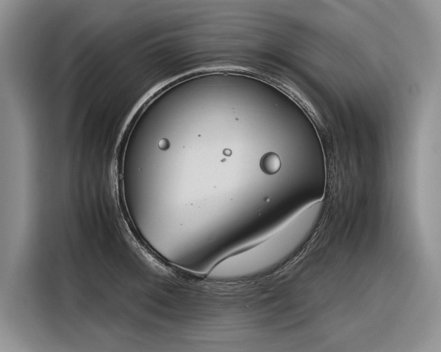 X0000116271092200912071037