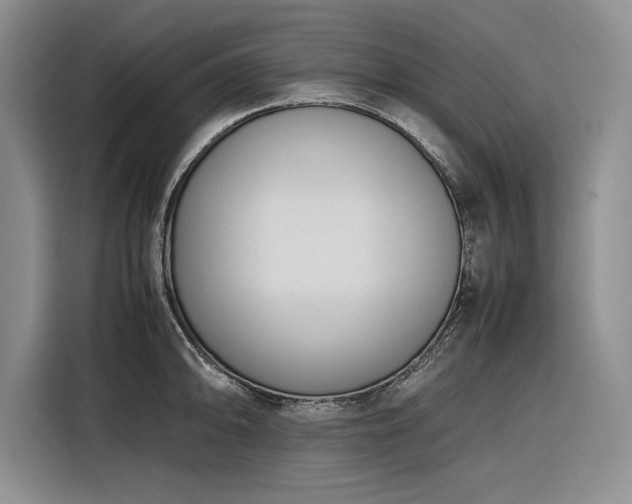 X0000116271094200912071037