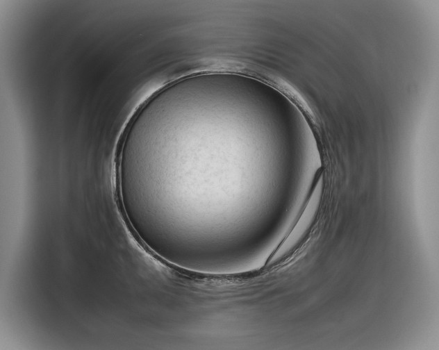 X0000116271095200912071037