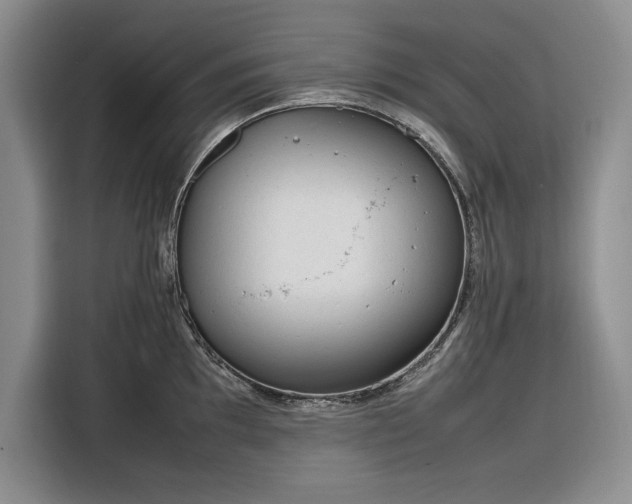 X0000116271097200912071037