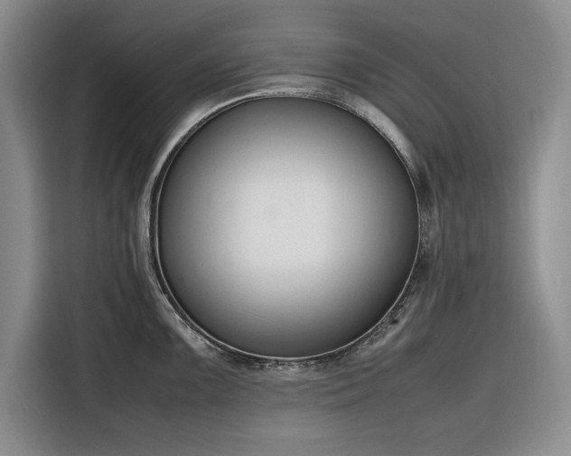 X0000116271099200912071037