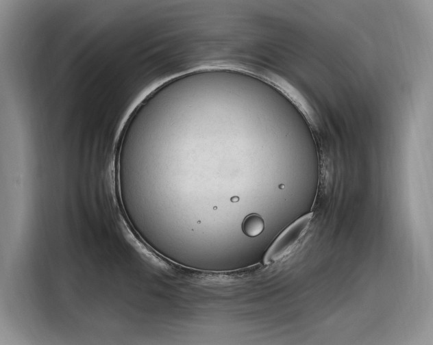 X0000116271100200912071037