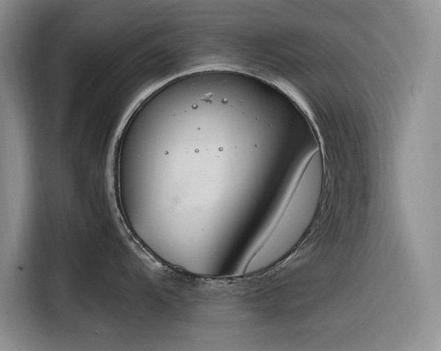 X0000116271104200912071037