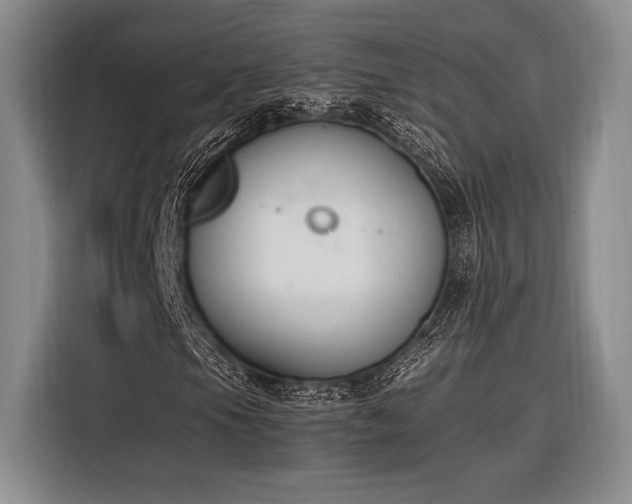 X0000116271105200912071037