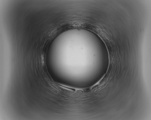 X0000116271106200912071037