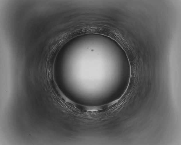 X0000116271109200912071037