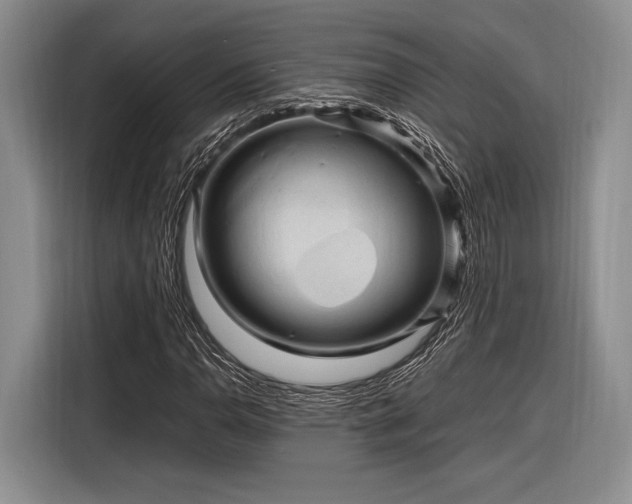 X0000116271110200912071037