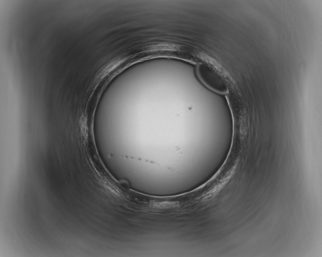 X0000116271113200912071037