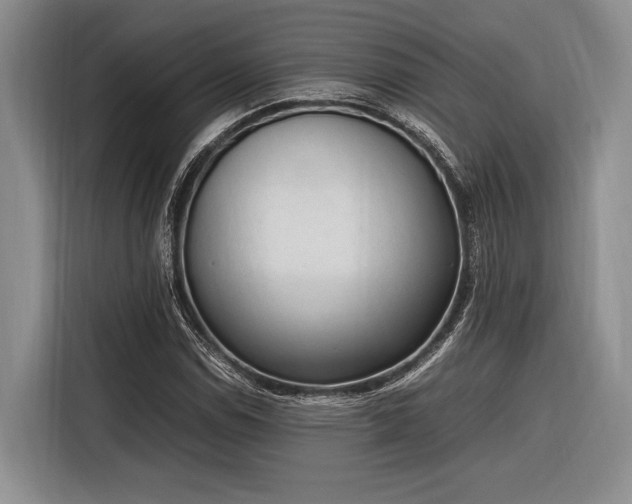 X0000116271114200912071037