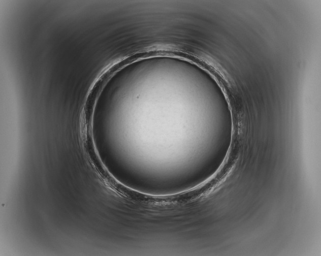 X0000116271117200912071037