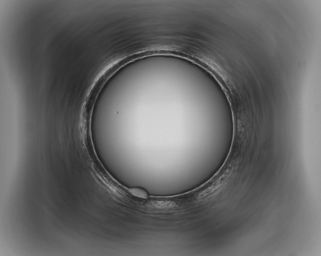 X0000116271119200912071037