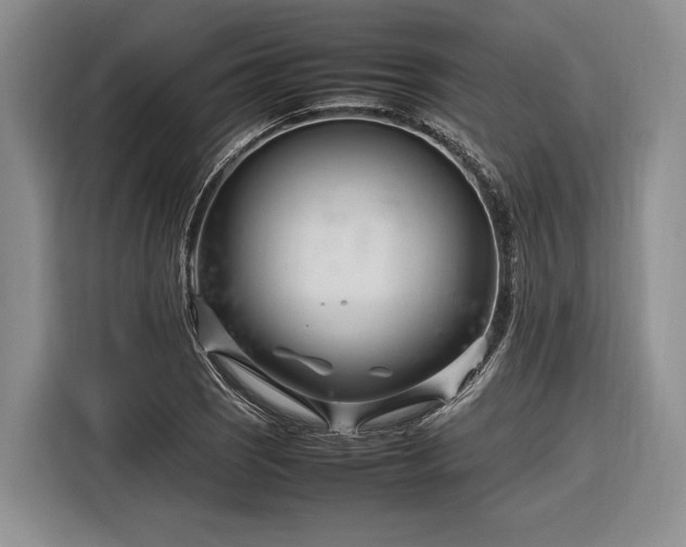 X0000116271121200912071037