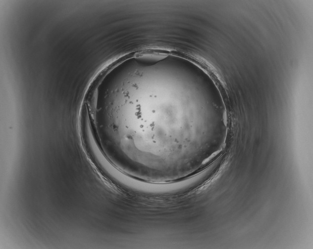 X0000116271125200912071037