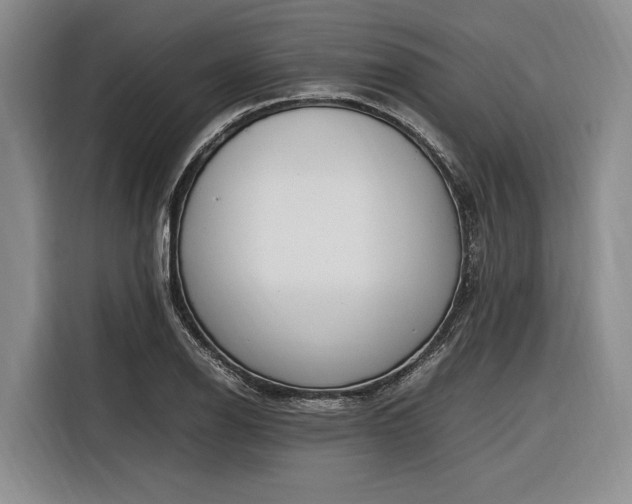 X0000116271126200912071037