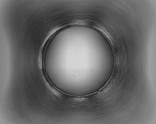X0000116271131200912071037