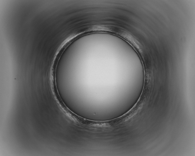 X0000116271133200912071037
