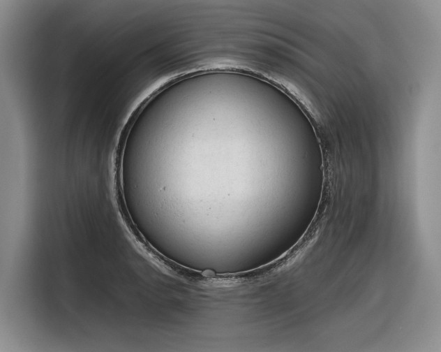 X0000116271134200912071037