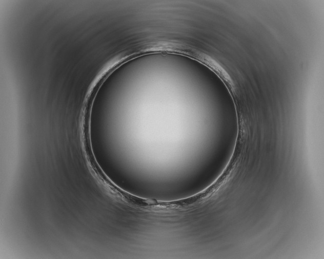X0000116271138200912071037