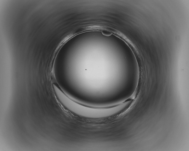 X0000116271145200912071037