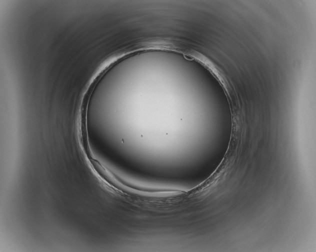 X0000116271147200912071037