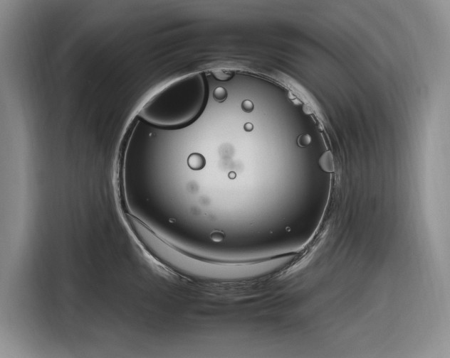 X0000116271149200912071037