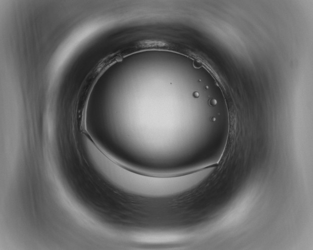 X0000116271151200912071037