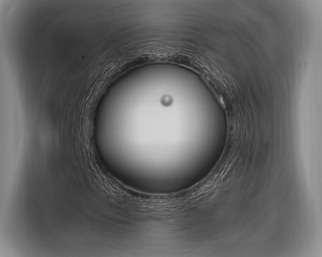 X0000116271153200912071037