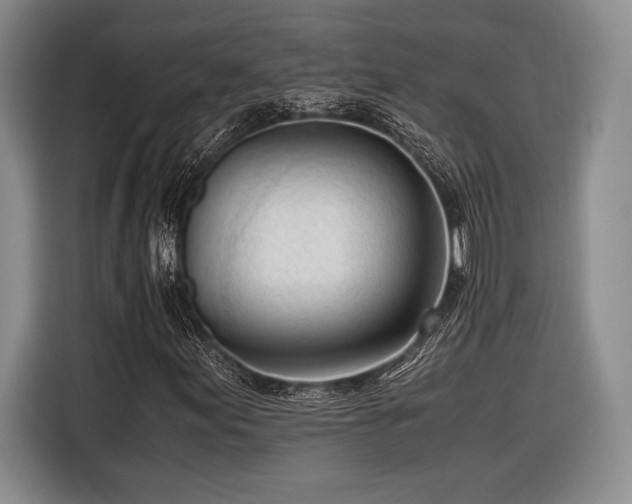 X0000116271155200912071036