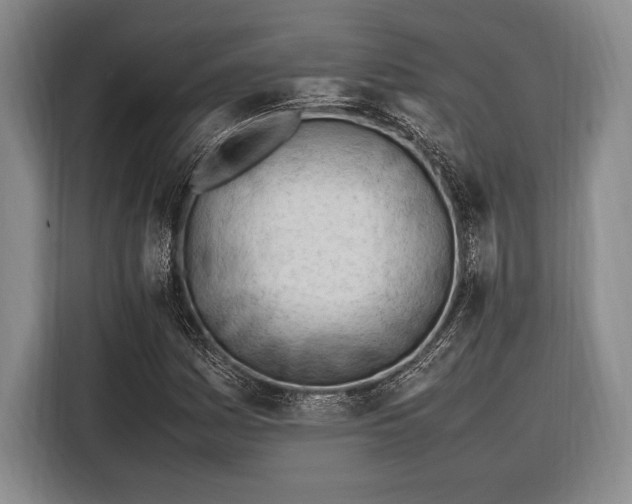 X0000116271161200912071036