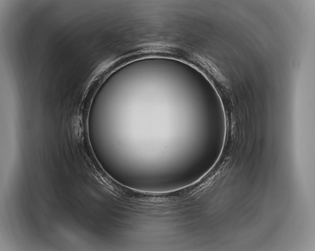 X0000116271164200912071036