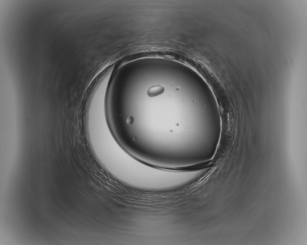 X0000116271165200912071036