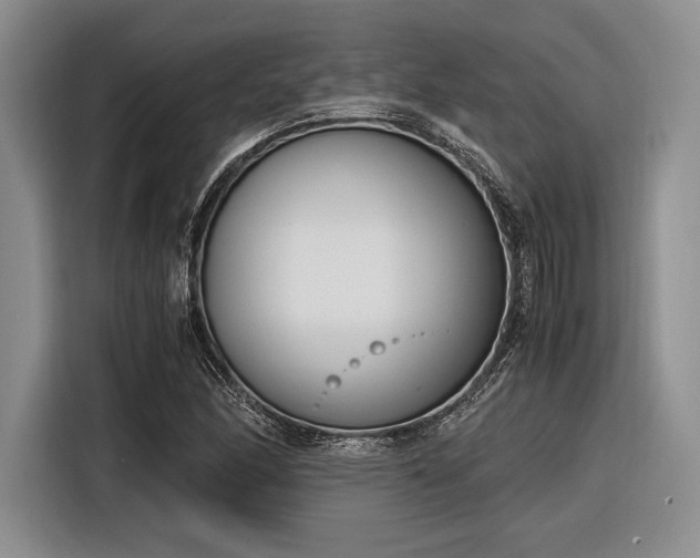 X0000116271166200912071036