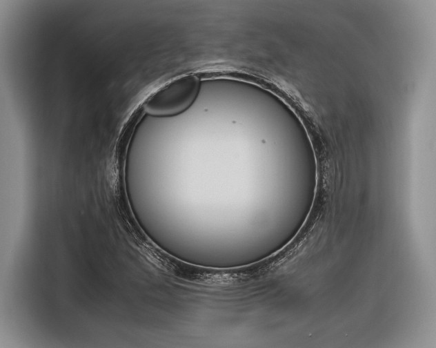 X0000116271167200912071036