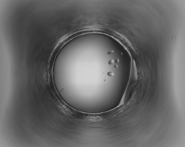 X0000116271168200912071036