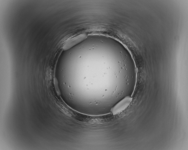 X0000116271169200912071036